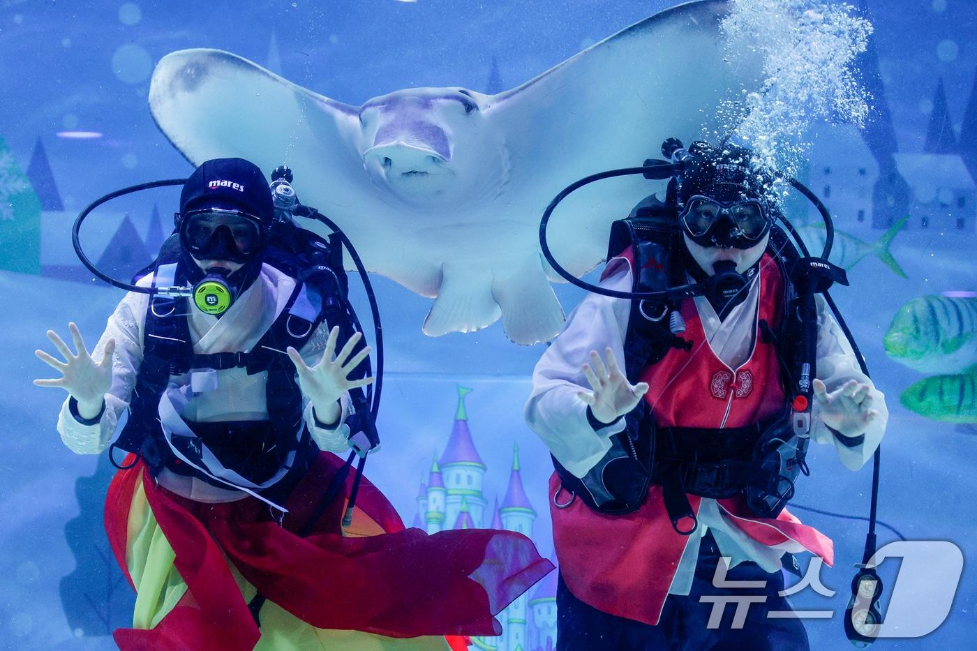 본문 이미지 - 한복을 입은 스쿠버 다이버들이 설 연휴를 앞둔 10일 오전 서울 강남구 씨라이프 코엑스 아쿠아리움에서 새해 인사를 전하고 있다. 2026.2.10 ⓒ 뉴스1 안은나 기자