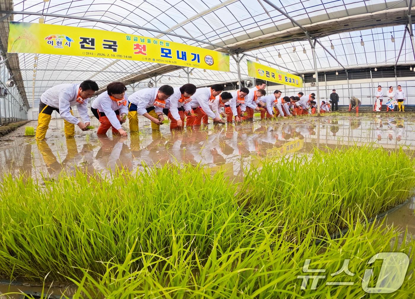 본문 이미지 - 10일 경기 이천시 호법면의 한 비닐하우스 논에서 김경희 이천시장을 비롯한 참석자들이 올해 첫 모내기를 하고 있다. 이날 모내기에 사용된 벼 품종은 진부올벼로 올해 6월에 수확 예정이다. (공동취재) 2026.2.10 ⓒ 뉴스1 김영운 기자