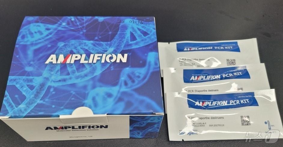 본문 이미지 - 해남군 고구마 덩이줄기썩음병 진단키트 개발 (해남군 제공. 재판매 및 DB금지) ⓒ 뉴스1 