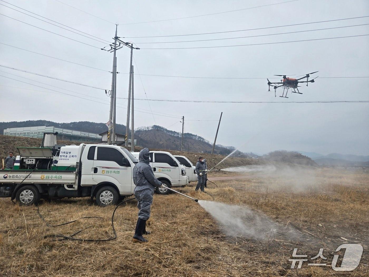 본문 이미지 - 원주천 철새도래지·축산농가 소독활동.(농협 강원본부 제공. 재판매 및 DB금지)/뉴스1
