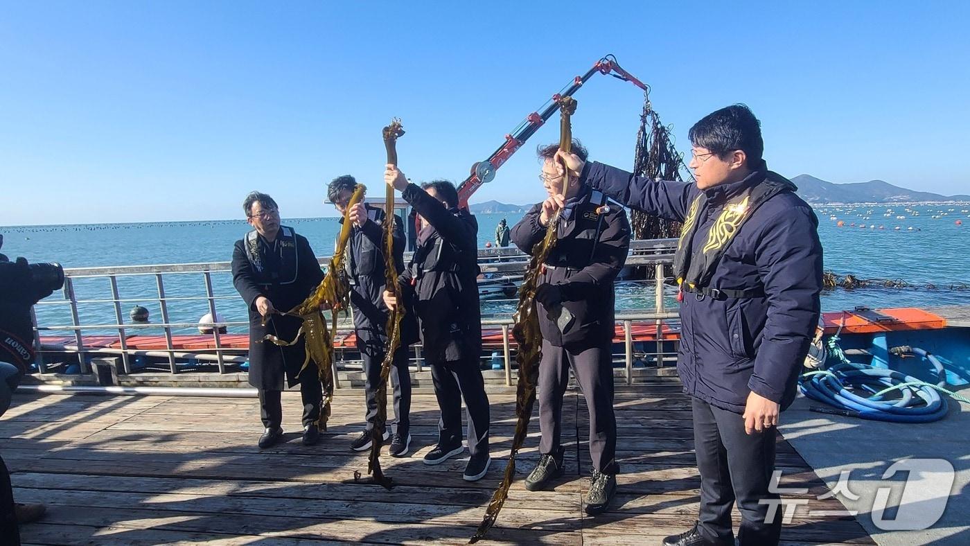 본문 이미지 - 지난 9일 전남 완도군에서 진행된 '바다숲 탄소거래 시범사업' 현장점검 (수산자원공단 제공. 재판매 및 DB금지)/뉴스1
