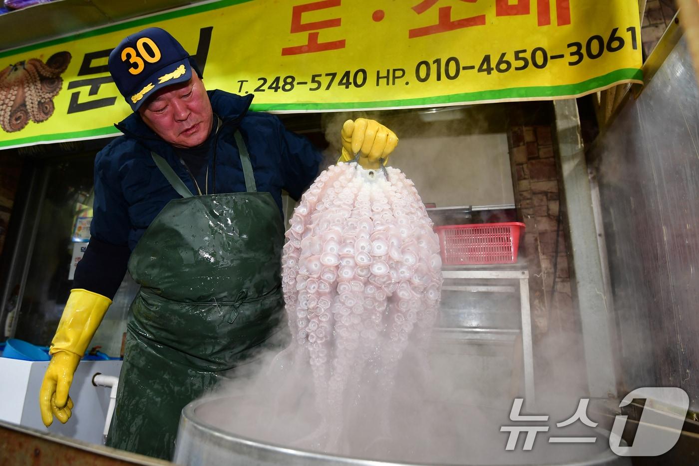 본문 이미지 - 설 명절을 앞둔 11일 경북 포항시 죽도어시장 문어 골목에서 상인이 차례상에 올릴 문어를 삶고 있다. 문어 가격은 차례용으로 인기가 좋은 5kg 기준 kg에 8만 원 선에 판매되고 있다. 2026.2.11 ⓒ 뉴스1 최창호 기자