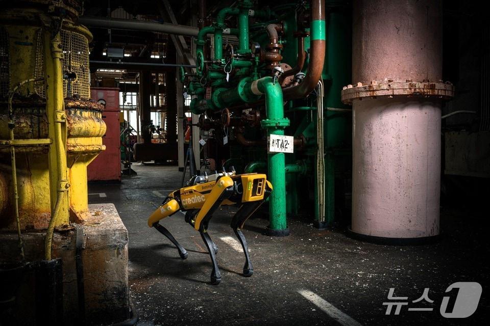 본문 이미지 - 현대차그룹 계열사 보스턴다이나믹스의 4족 보행 로봇 '스팟(Spot)'이 셀라필드 현장을 순찰하는 모습(셀라필드 제공)