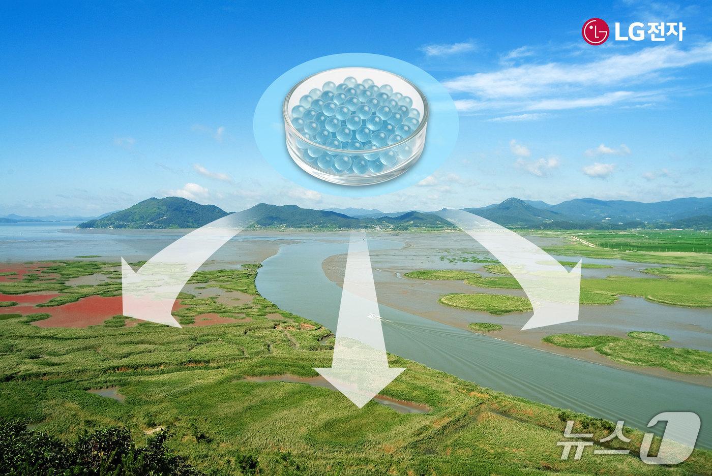 본문 이미지 - 순천만 갯벌에 '마린 글라스'를 적용하는 모습 예시 (사진제공 = LG전자) 