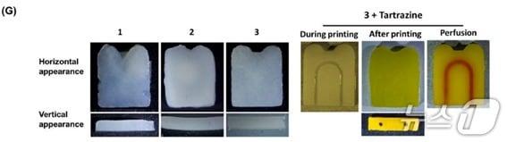 본문 이미지 - 타트라진을 이용한 미세통로 구현 과정. (왼쪽 이미지) 타트라진을 넣지 않았을 때는 구멍(왼쪽)이 막혀버리는 현상이 나타남. (오른쪽 이미지) 타트라진을 넣었을 땐 0.7mm 크기의 구멍(오른쪽)까지 설계도대로 뚫린 모습.(한림대학교의료원 제공)