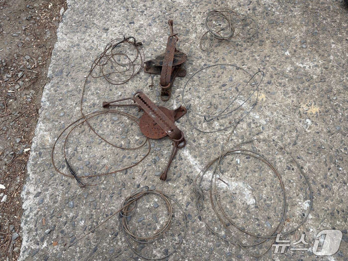 본문 이미지 - 지리산국립공원에서 수거된 불법 엽구(지리산국립공원경남사무소 제공. 재판매 및 DB금지).