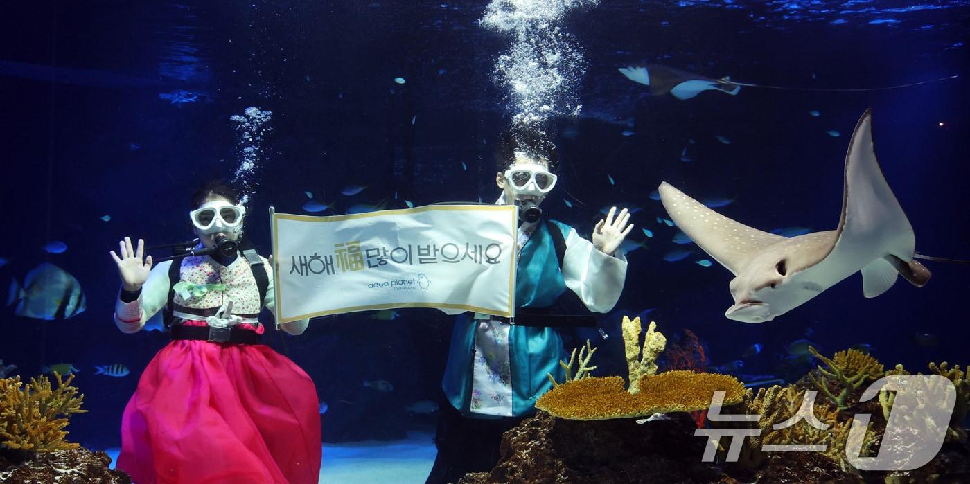 본문 이미지 - 설 명절을 앞둔 11일 경기 수원시 영통구 아쿠아플라넷 광교에서 한복을 입은 아쿠아리스트들이 설 명절 인사를 하고 있다. 2026.2.11 ⓒ 뉴스1 김영운 기자