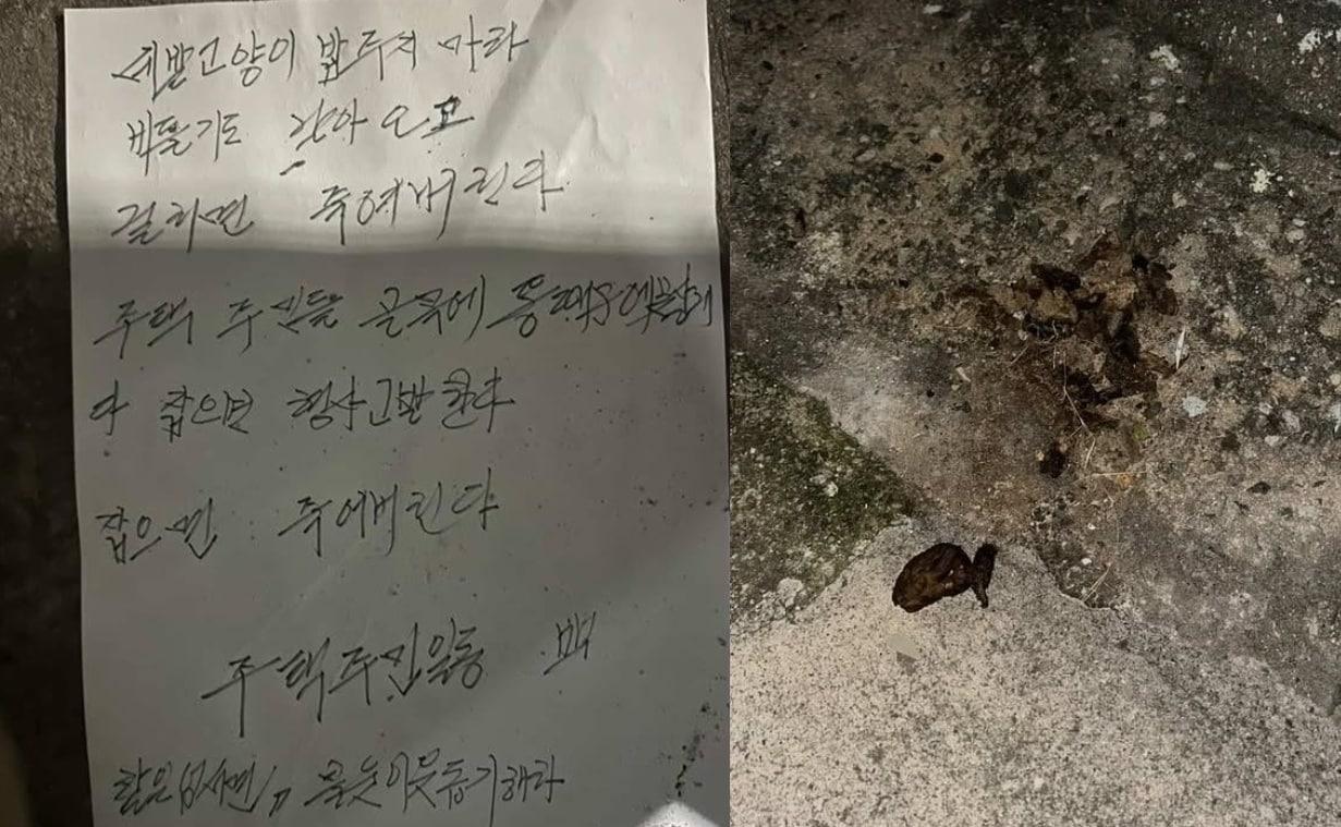 본문 이미지 - (보배드림 인스타그램 갈무리)