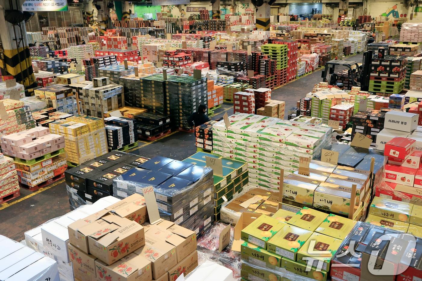 본문 이미지 - 설 명절을 앞둔 11일 오후 서울시 송파구 가락동 가락농수산물종합도매시장 내 농협가락공판장 경매장에서 직원들이 전국에서 올라온 과일을 점검하고 옮기는 등 분주히 움직이고 있다. 2026.2.11 ⓒ 뉴스1 박정호 기자