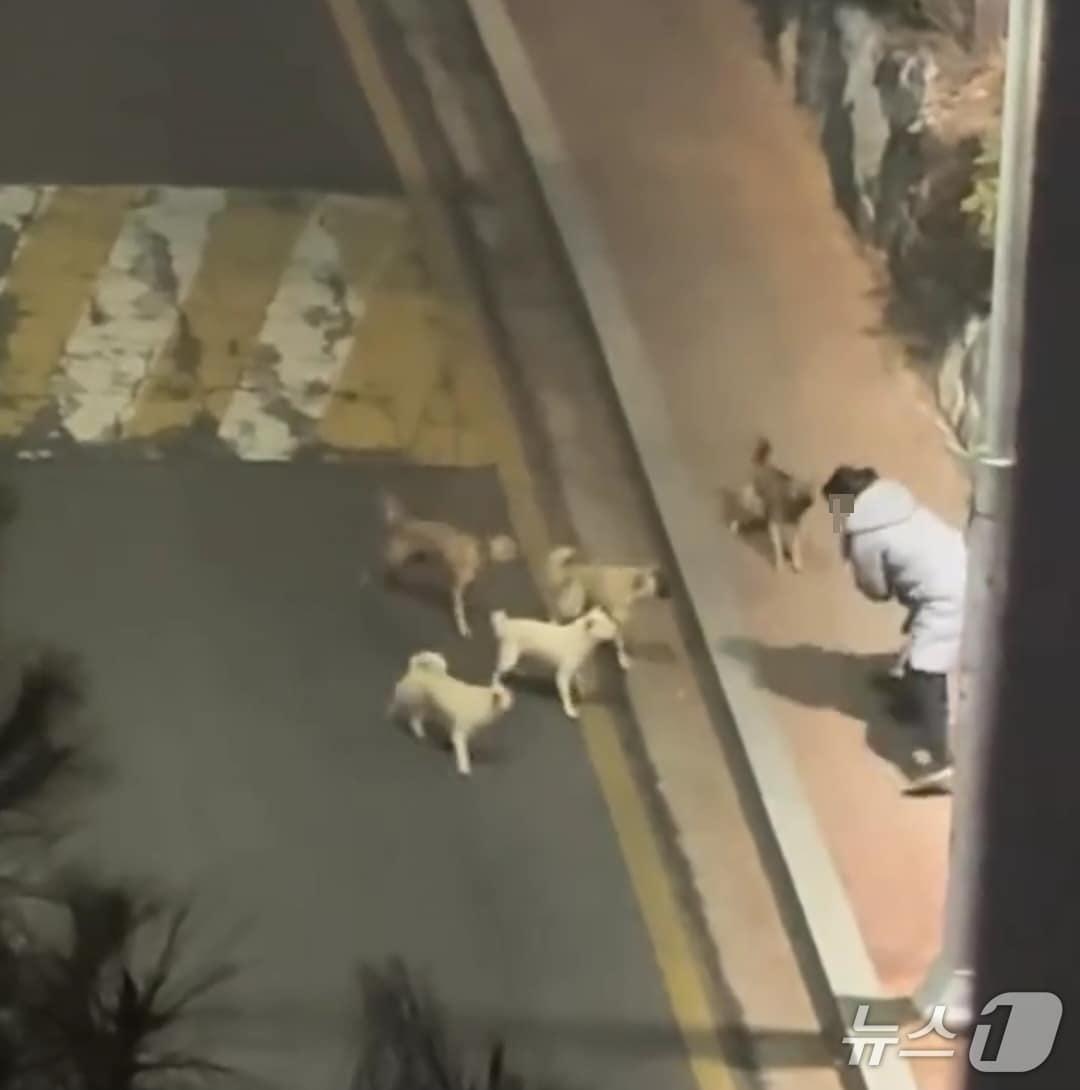 본문 이미지 - (SNS 갈무리)/뉴스1