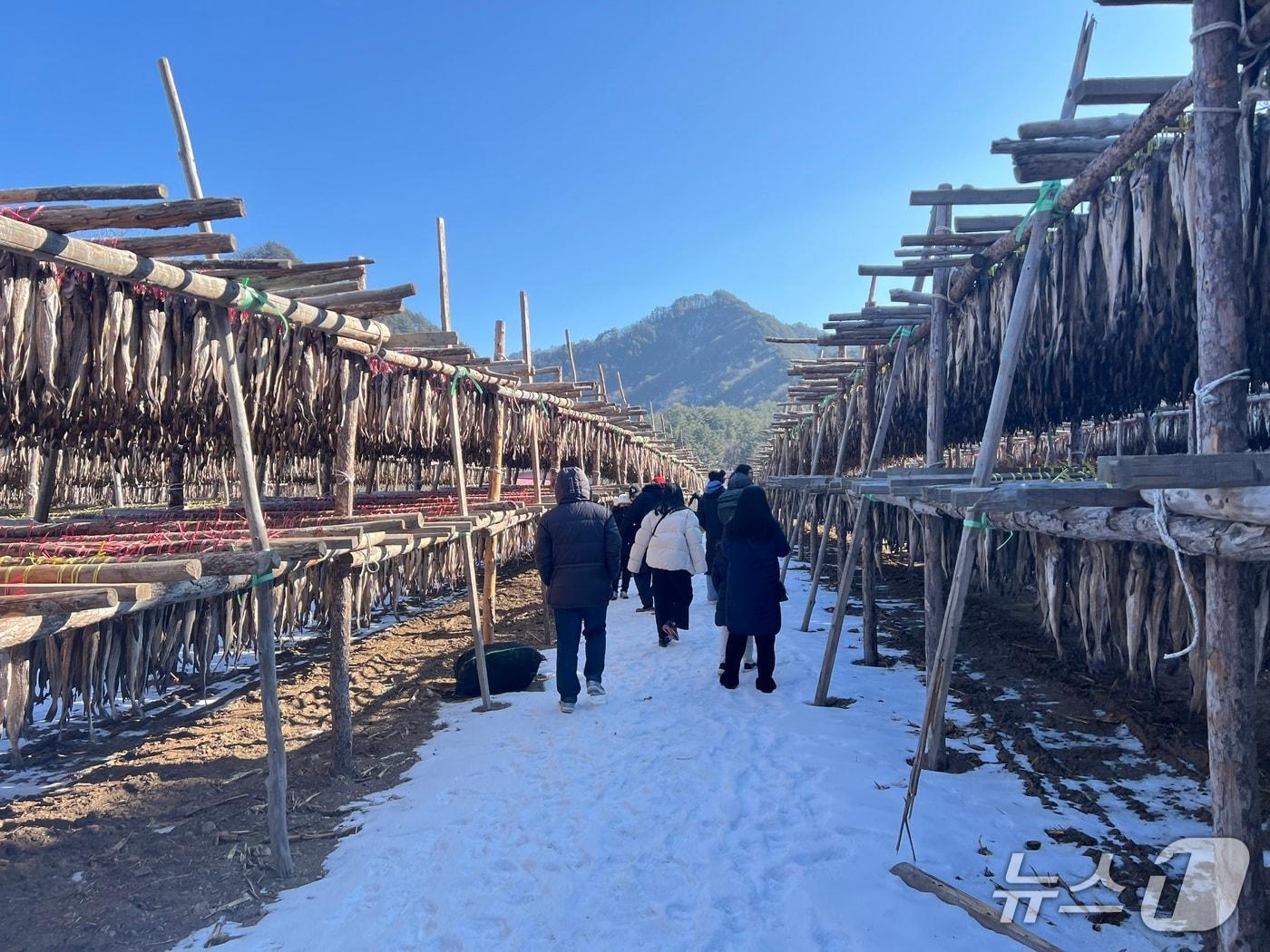 본문 이미지 - 지역단위 농촌관광 관련 자료사진.(인제군 제공. 재판매 및 DB금지)/뉴스1