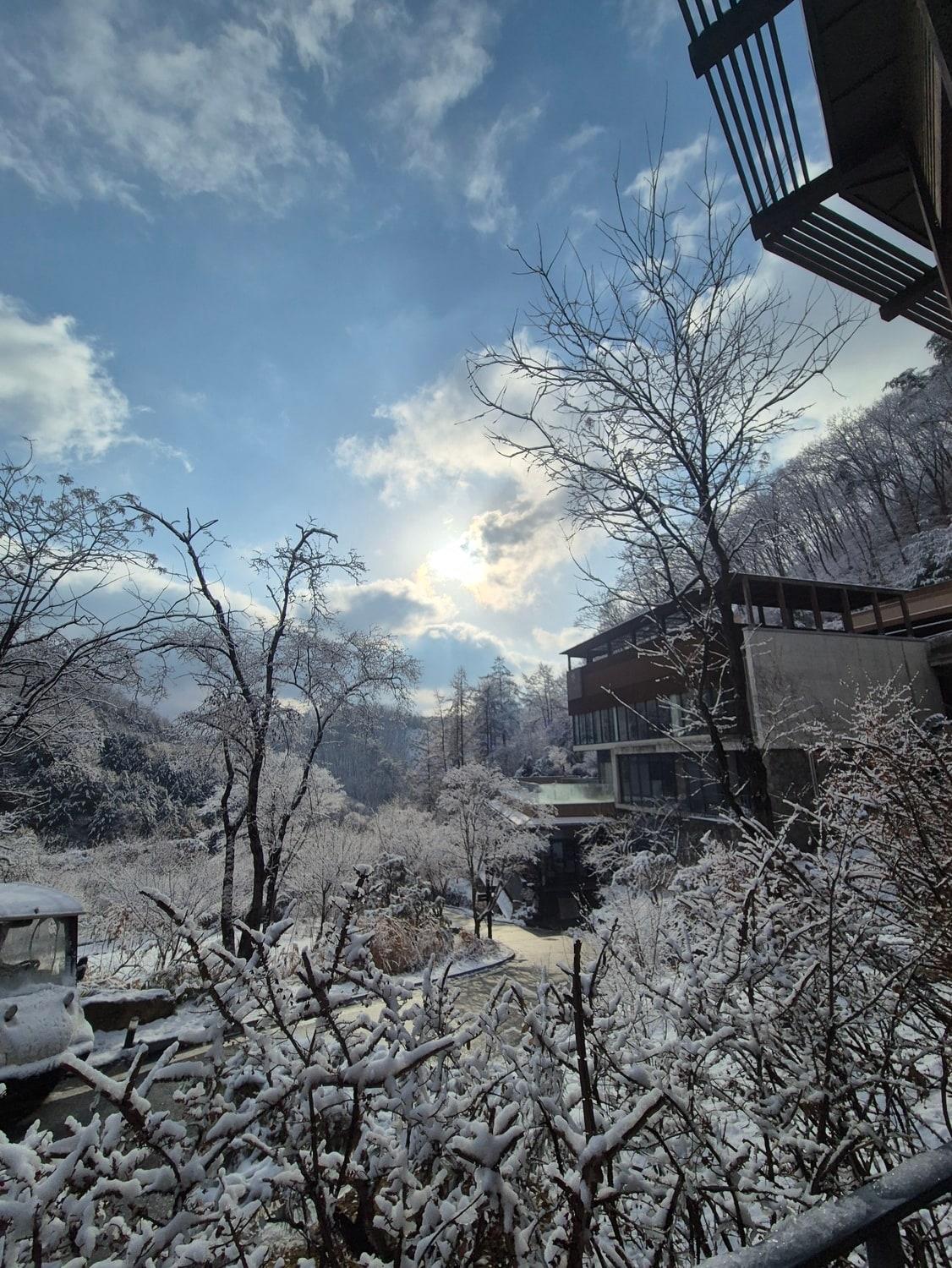 본문 이미지 - 선마을이 천혜의 자연에서 몸과 마음의 균형을 새롭게 만들어줄 ‘2026 리셋여행 패키지’를 선보인다.(대웅제약 제공)/뉴스1