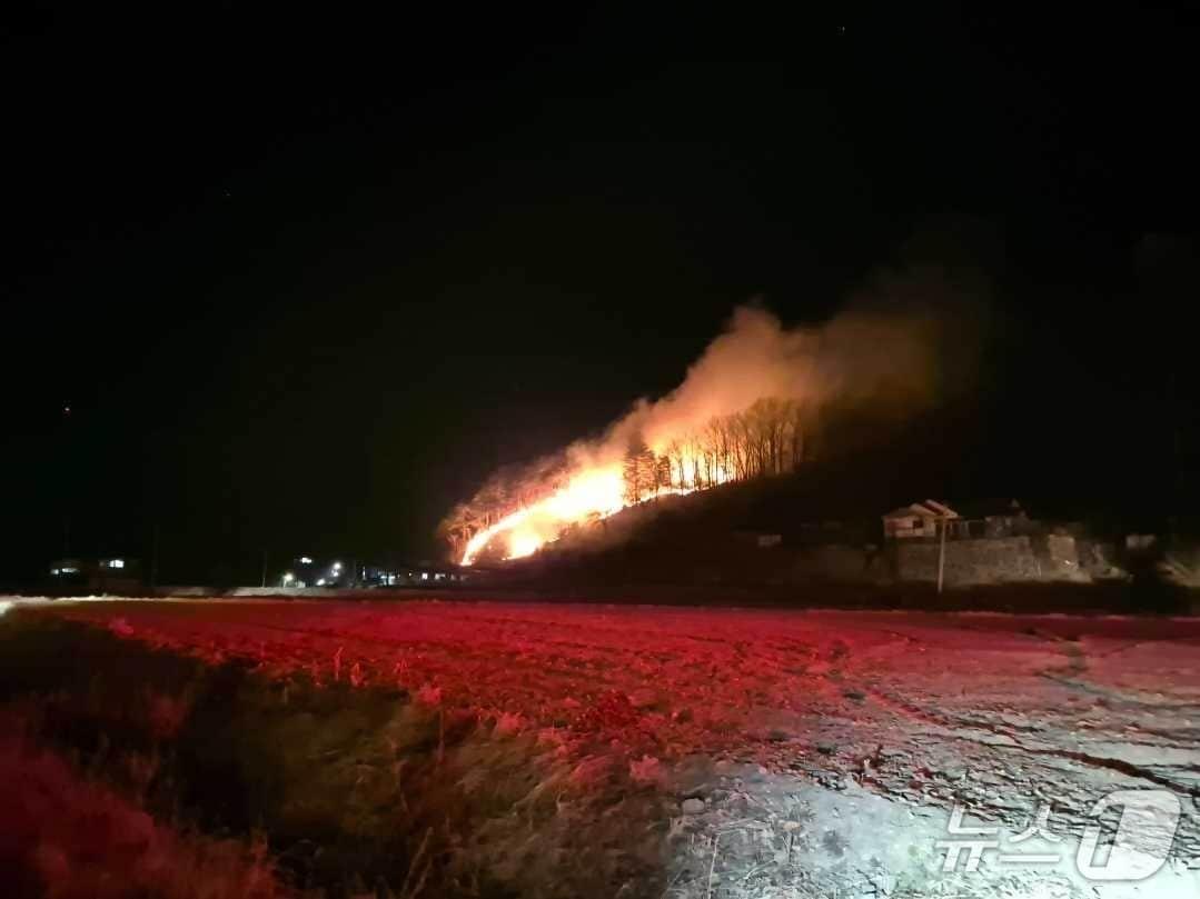본문 이미지 - 12일 새벽 강원 양양군 양양읍 화일리 산불 현장.(강원도산불방지대책본부 제공, 재판매 및 DB 금지) 2026.2.12/뉴스1