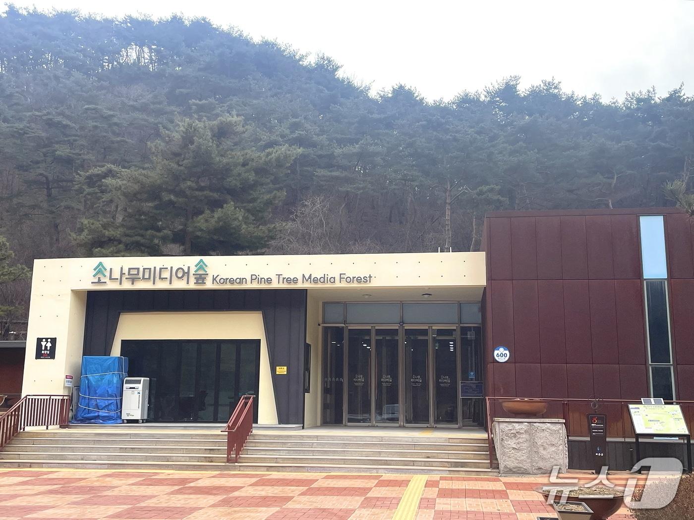 본문 이미지 - 소나무 미디어 숲(보은군 제공. 재판매 및DB금지) /뉴스1 