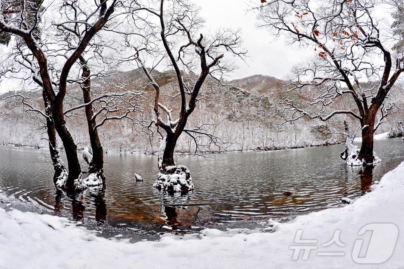 본문 이미지 - 청송 관광의 중심에는 주왕산 국립공원이 있다. 기암절벽과 폭포, 계곡이 어우러진 주왕산은 사계절마다 전혀 다른 풍경을 만들어낸다.사진은 청송주산지 /뉴스1