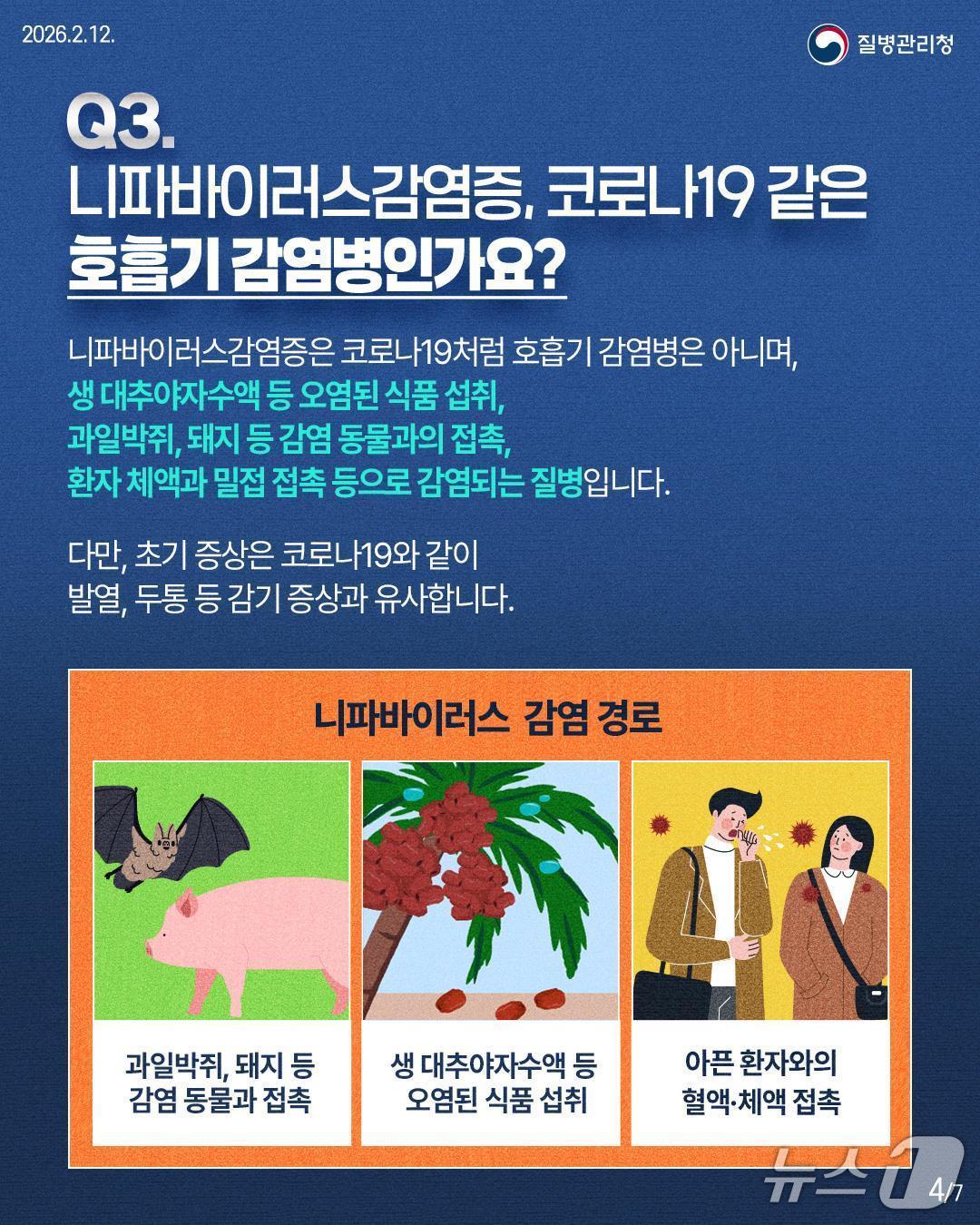 본문 이미지 - (질병청 제공)