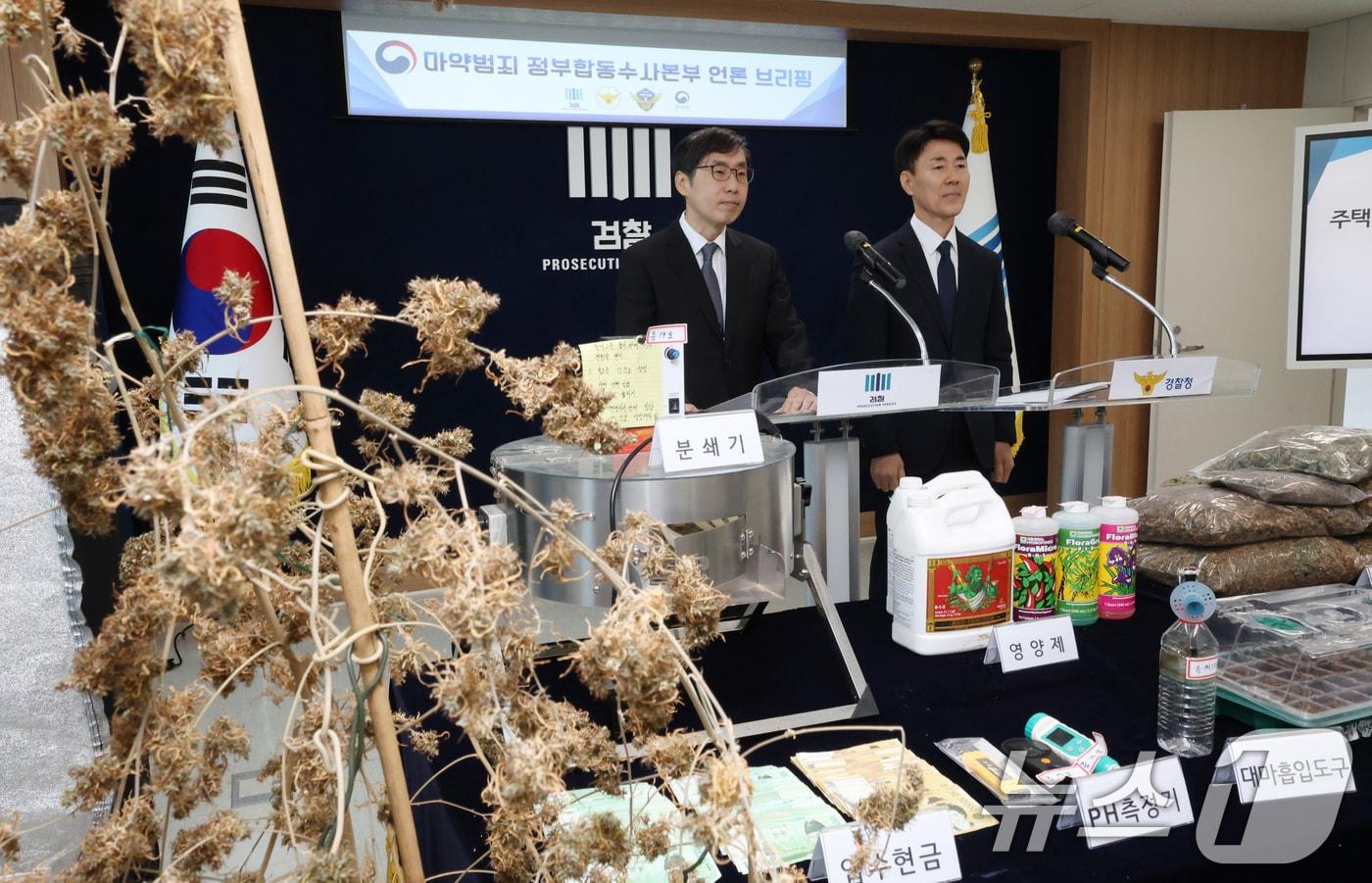 본문 이미지 - 신준호 마약범죄 정부합동수사본부 1부본부장이 12일 경기 수원시 영통구 수원지방검찰청 브리핑룸에서 마약범죄 정부합동수사본부의 대마 재배시설 적발 관련 브리핑이 하고 있다. 2026.2.12 ⓒ 뉴스1 김영운 기자