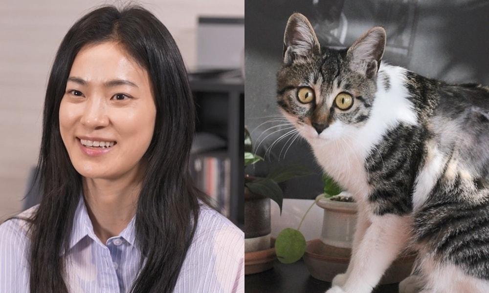 본문 이미지 - MBC