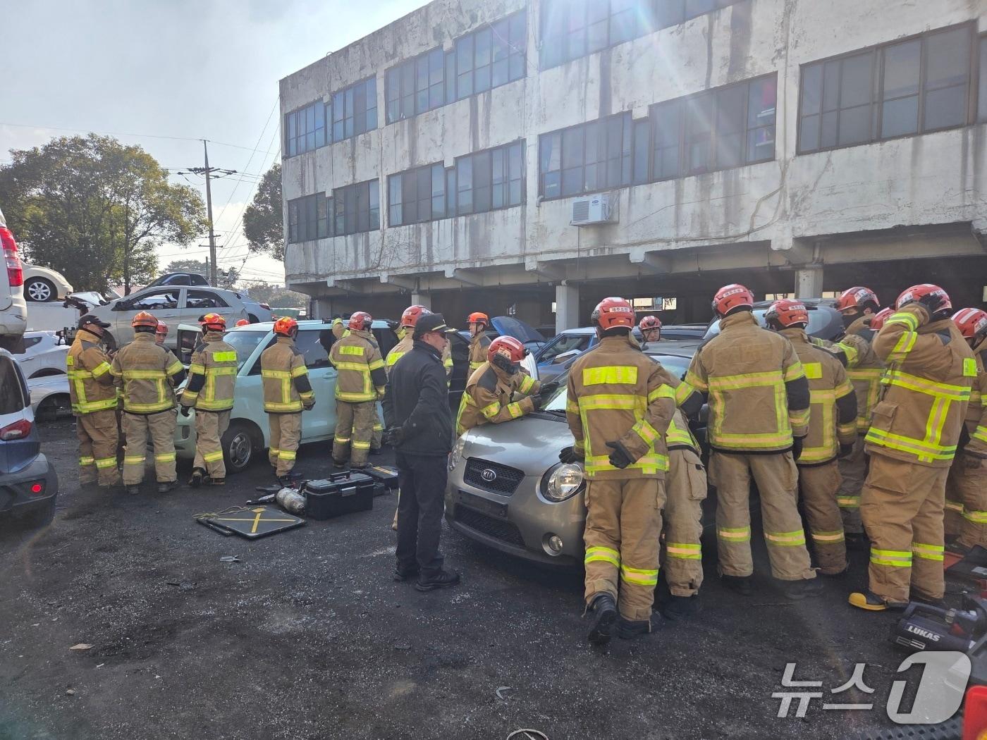 본문 이미지 - 제주소방 훈련 모습(제주소방 제공. 재판매 및 DB금지)/뉴스1