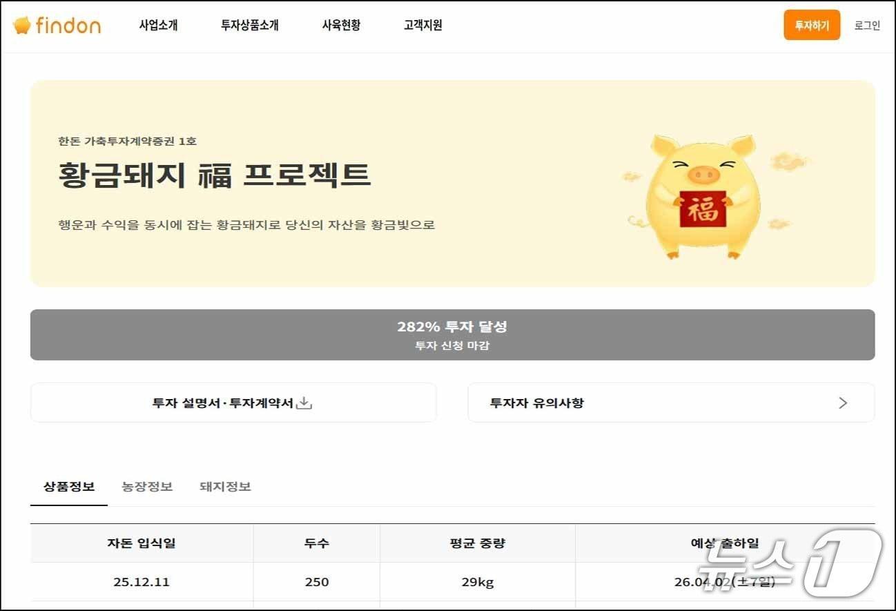 본문 이미지 - 핀돈 공식 플랫폼./뉴스1