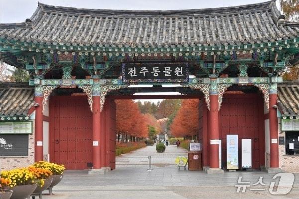 본문 이미지 - 전주동물원 전경/뉴스1