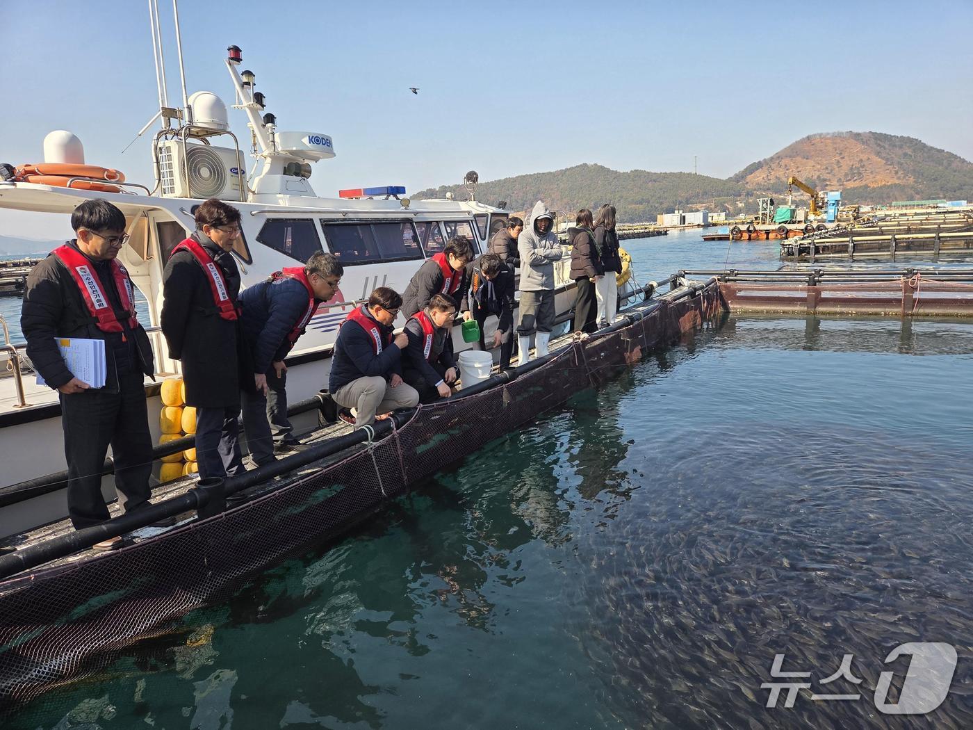 본문 이미지 - 경남도 관계자들이 12일 도내 한 연구 교습 어장에서 월동 시험 상황을 점검하고 있다.(경남도 제공. 재판매 및 DB금지)