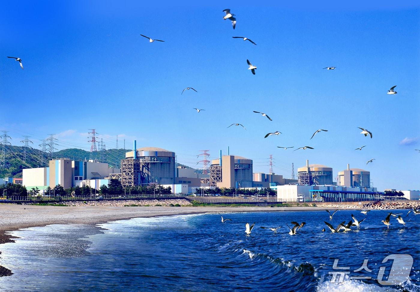 본문 이미지 - 한국수력원자력(주) 월성원자력본부 전경. (뉴스1 자료, 재판매 및 DB금지) 2026.2.12/뉴스1 