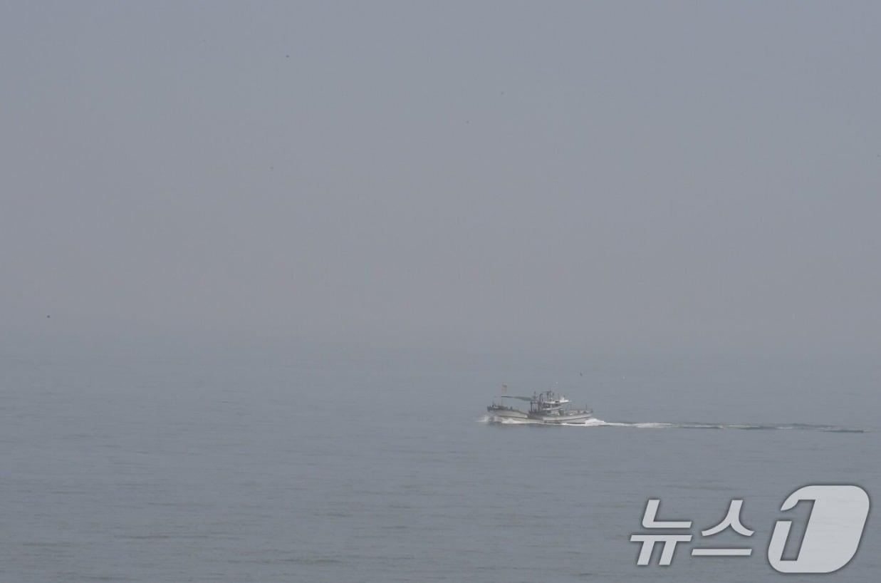 본문 이미지 - 해무 가득한 바다(사진은 기사 내용과 무관함) / 뉴스1 ⓒ News1