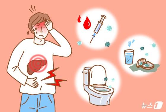 본문 이미지 - 간암의 주범을 술이라 생각할 수 있지만, 간암 환자 10명 중 6명은 B형·C형 간염 같은 '바이러스 간염'을 앓고 있었다고 한다. 간암은 간세포에 발생하는 악성 종양으로 여러 개가 동시에 생기거나 쉽게 전이될 수 있다. 지난 2024년 중앙암등록본부 발표를 보면 간암은 전체 암 발생 7위였으며 남성 발병률이 여성보다 높았다. ⓒ 뉴스1 양혜림 디자이너