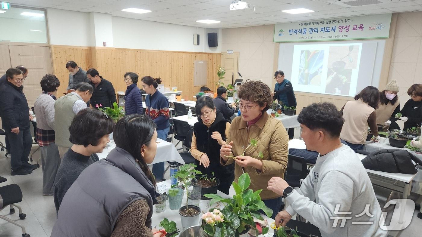 본문 이미지 - 계룡시 ‘반려 식물 관리지도사 양성 교육’ (계룡시 제공.재판매 및 DB금지)/뉴스1