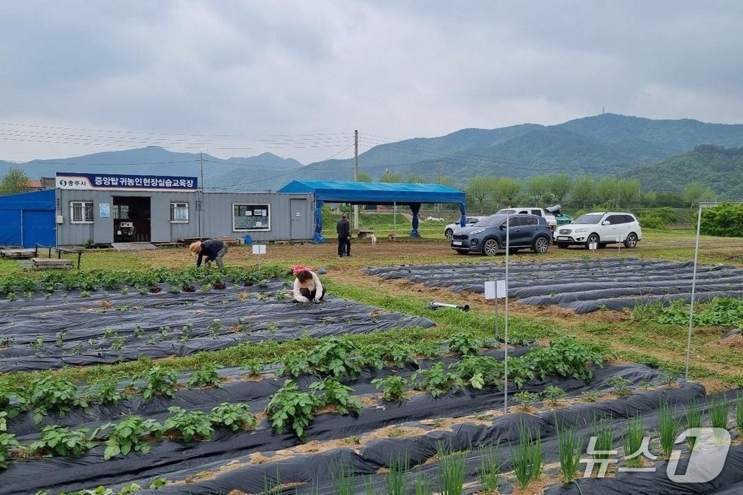 본문 이미지 -  충주 중앙탑 귀농현장실습교육장.(충주시 제공. 재판매 및 DB금지)/뉴스1