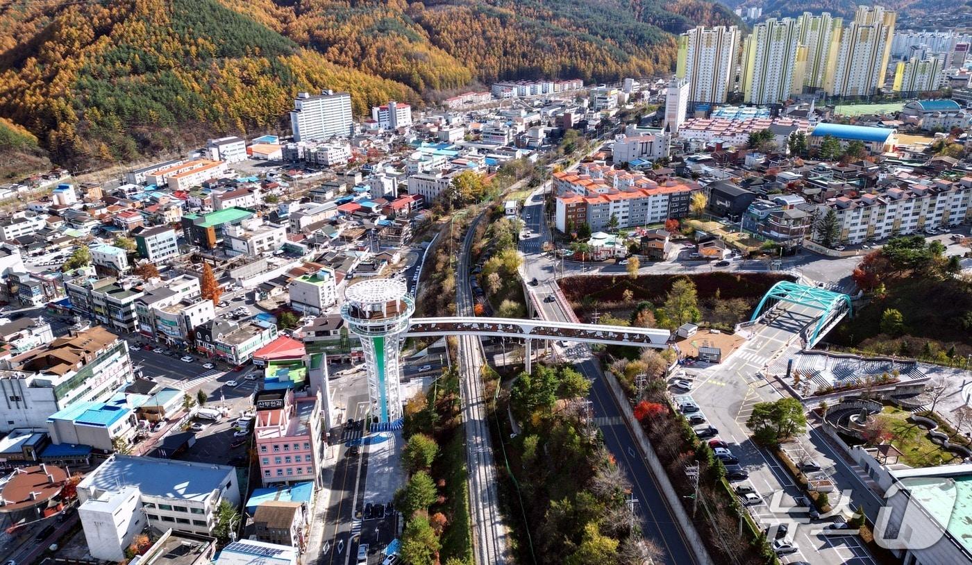 본문 이미지 - 강원 태백타워브리지 자료 사진. (태백시 제공. 재판매 및 DB금지) 2026.2.13/뉴스1
