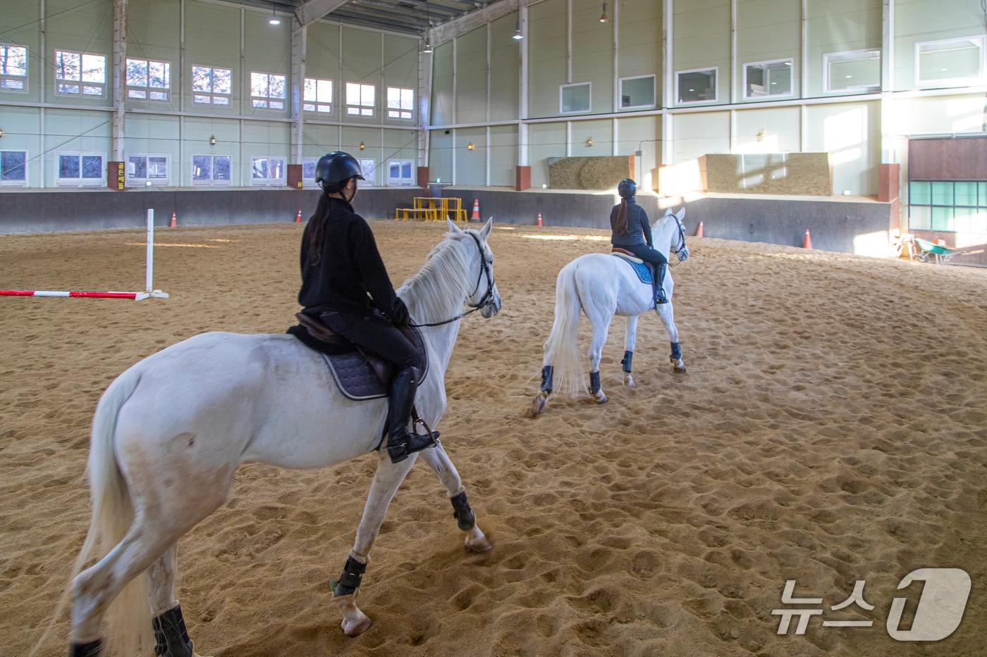본문 이미지 - 서울에서 자동차로 불과 50분 '양평 골든쌔들 승마클럽'(경기관광공사 제공. 재판매 및 DB금지)/뉴스1