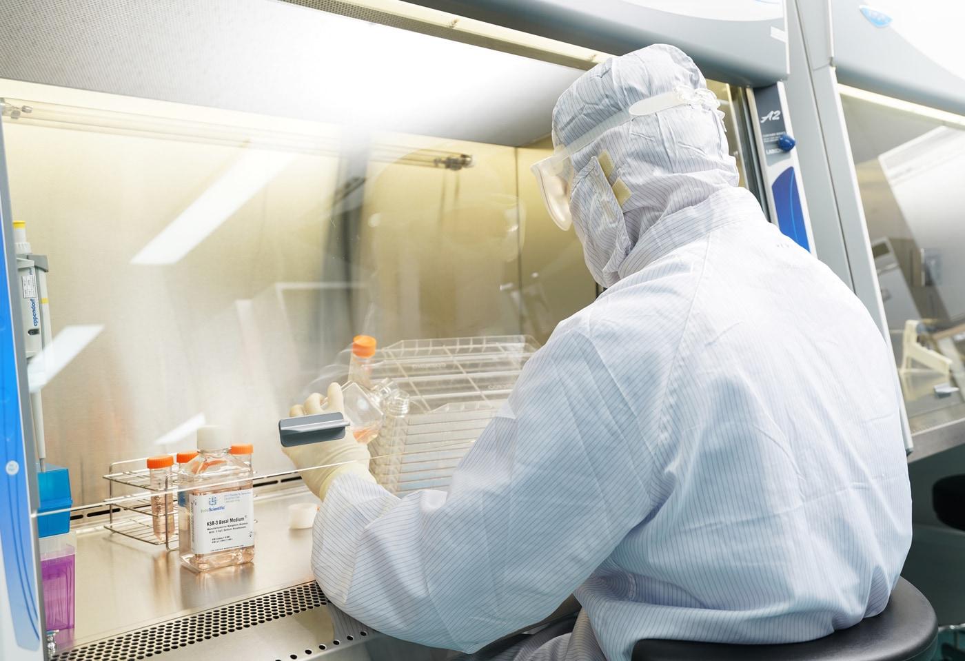 본문 이미지 - 강스템바이오텍 직원이 줄기세포 의약품 제조·품질관리(GMP) 허가 시설에서 줄기세포 배양 공정을 진행하고 있다.(강스템바이오텍 제공)/뉴스1