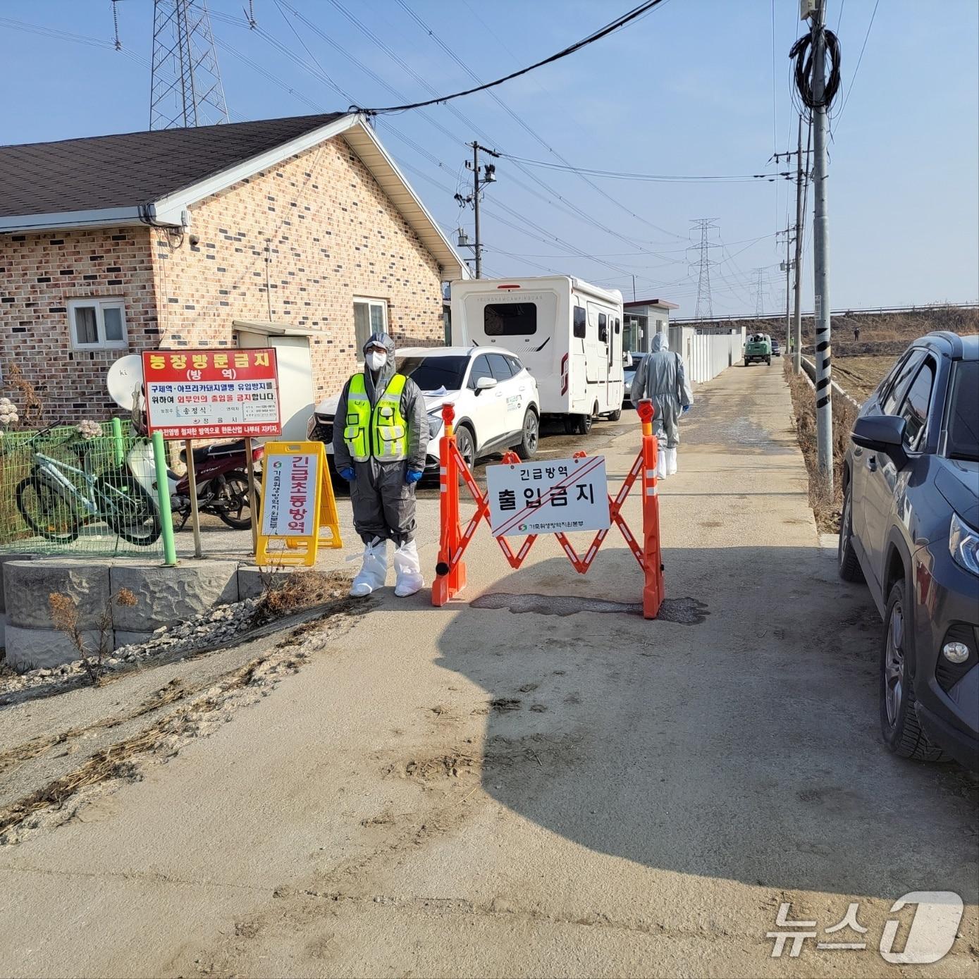 본문 이미지 - 지난 12일 전북 정읍시의 한 양돈농장에서 아프리카돼지열병이 발생한 가운데 해당 농장에 대한 출입이 전면 금지되고 있다.(정읍시 제공. 재판매 및 DB금지)/뉴스1 