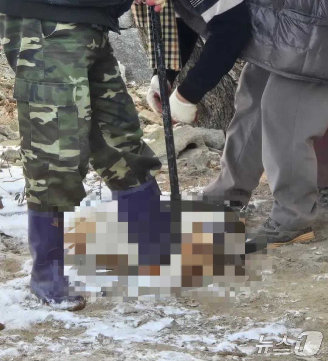 본문 이미지 - 현장 사진.(사단법인 위액트 제공. 재판매 및 DB금지)