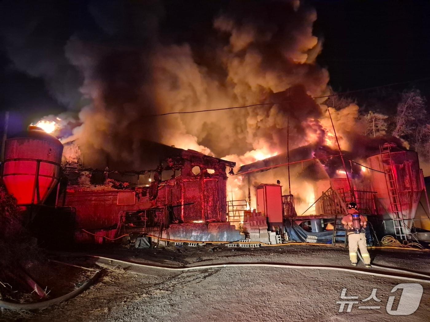 본문 이미지 -  홍성군 홍동면 돈사 화재 현장. (홍성소방서 제공, 재판매 및 DB금지) / 뉴스1
