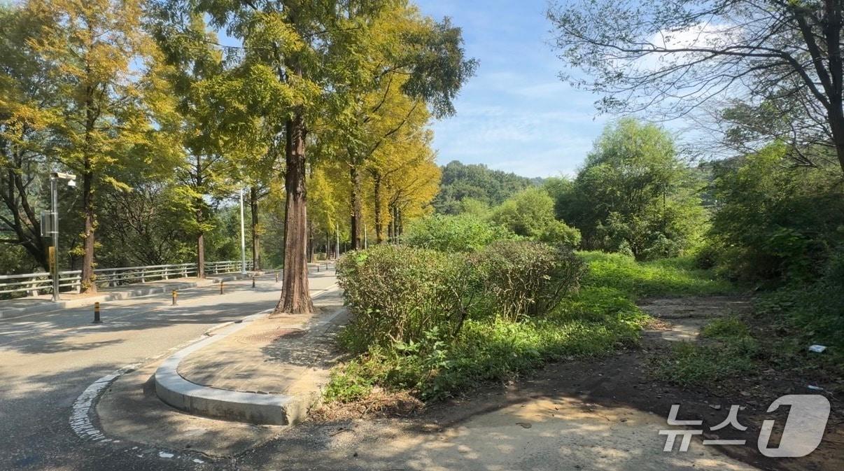 본문 이미지 - 전북 전주시 상림동에 위치한 방마마을 진입로(오른쪽)의 모습./뉴스1 장수인 기자