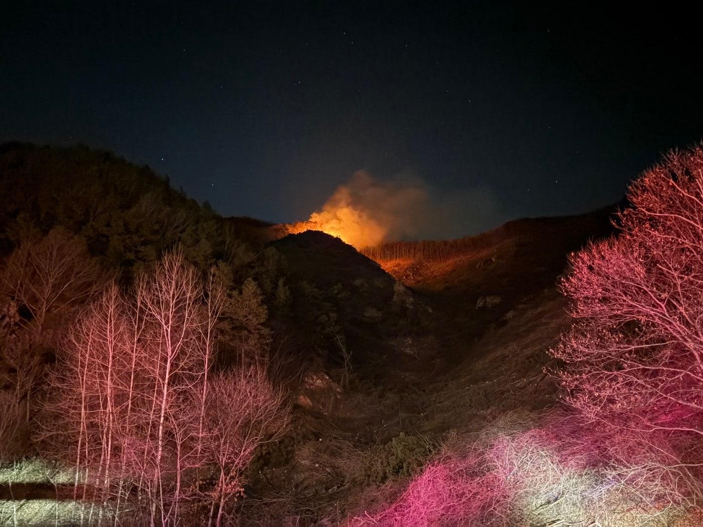 본문 이미지 - 충남 금산군 진산면 산불 현장.(산림청 제공. 재판매 및 DB금지)/뉴스1
