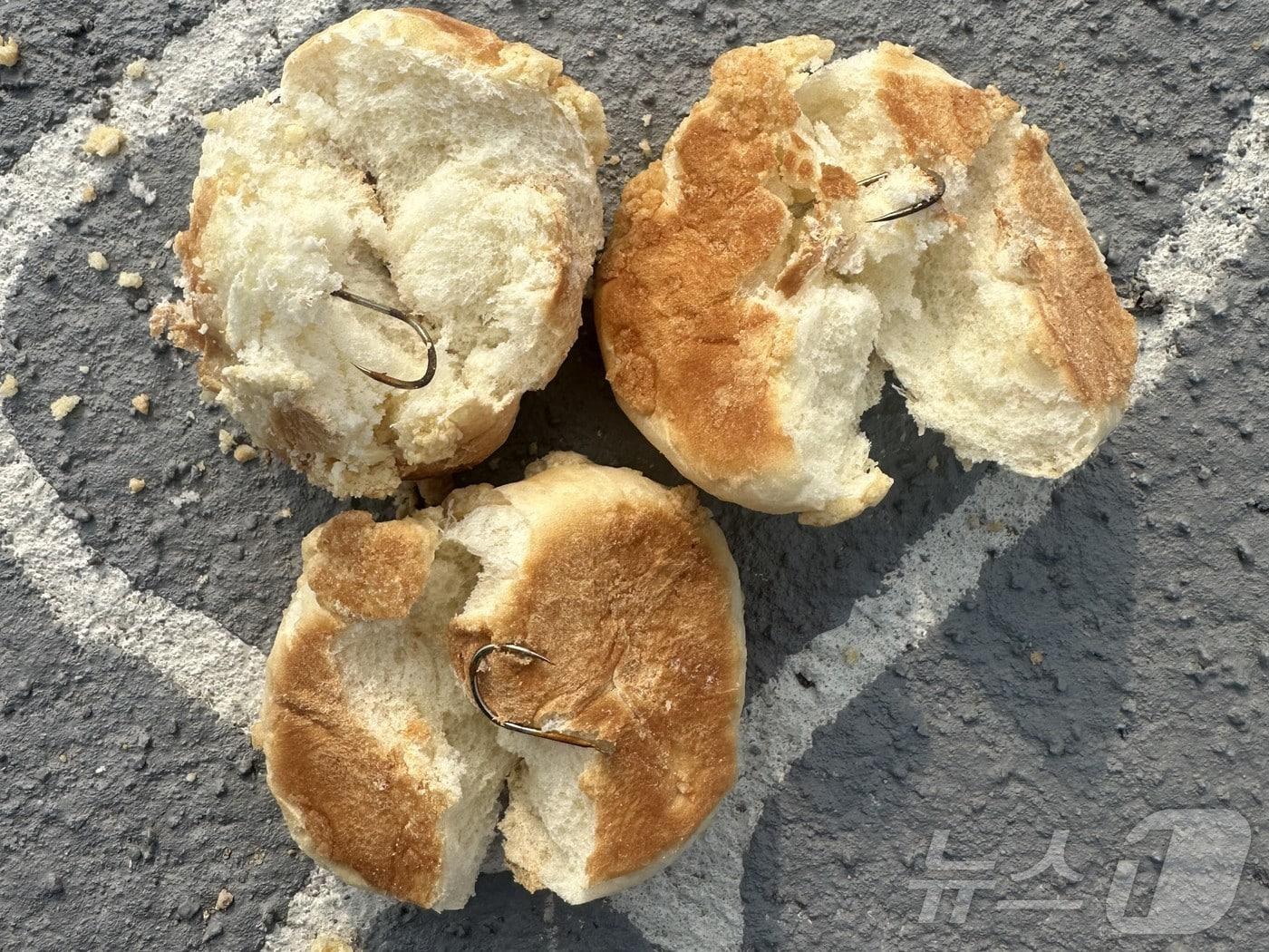 본문 이미지 - 전남 나주 반려견놀이터에 살포된 10개의 빵 안에서 낚시바늘이 꽂혀 있다.(SNS캡쳐. 재배포 및 DB 금지)