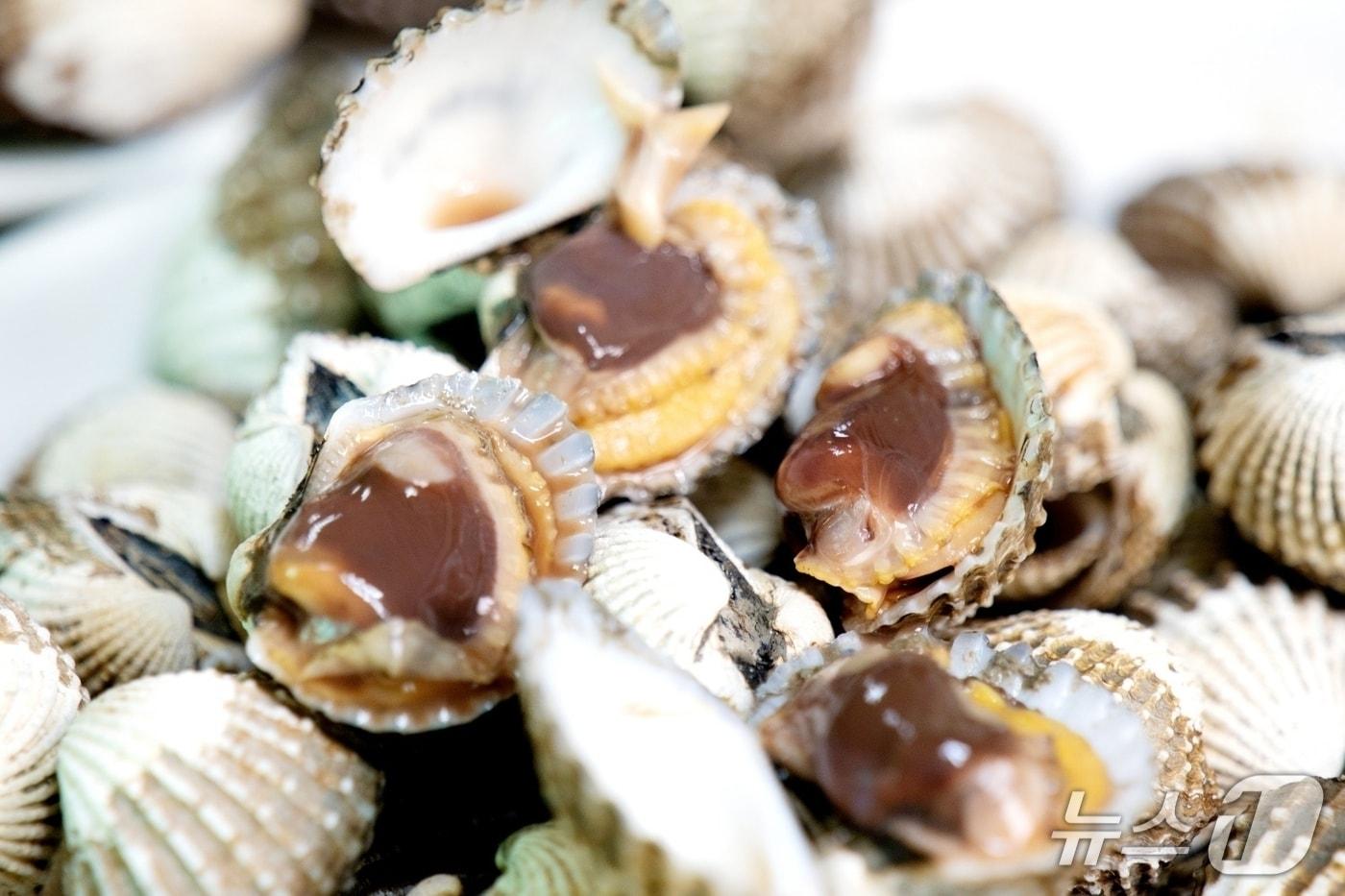 본문 이미지 - 전남 보성 벌교 참꼬막.(보성군 제공)/뉴스1