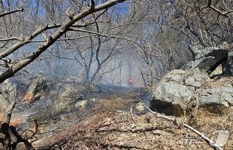 본문 이미지 - 17일 강원 원주 판부면 산불 현장.(강원소방본부 제공, 재판매 및 DB 금지) 2026.2.17/뉴스1