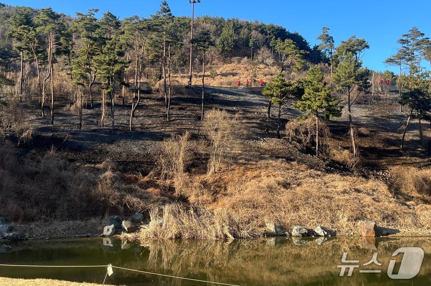 본문 이미지 - 화재 현장(부산소방재난본부 제공. 재판매 및 DB금지) 2026.2.17