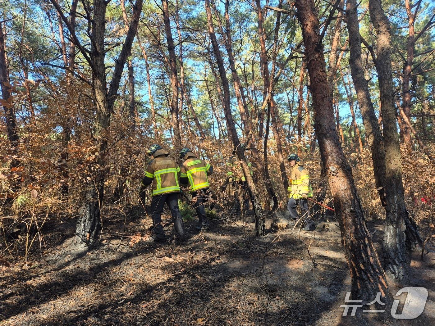 본문 이미지 - 17일 낮 12시59분쯤 대구 달성군 현풍읍 자모리의 한 야산에서 불이 나 소방 당국이 현장에 출동했다.(대구소방안전본부 제공. 재판매 및 DB금지)