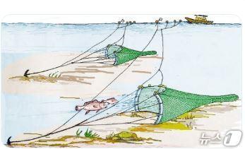 본문 이미지 - 고정자루망어업(국립수산과학원 제공)