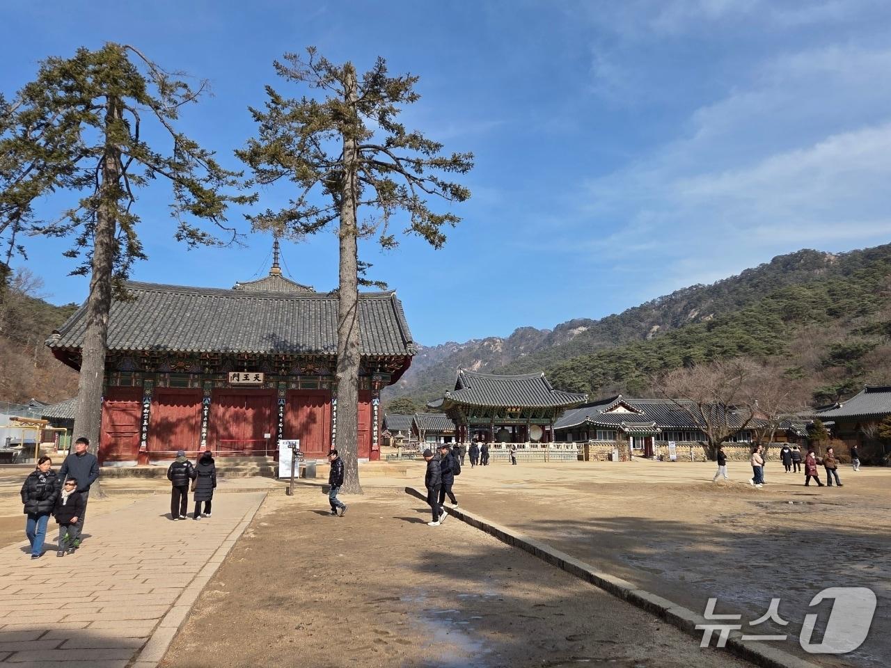 본문 이미지 - 설 연휴 마지막 날인 18일 충북 보은군을 찾은 시민들이 속리산 법주사 경내를 둘러보고 있다. (재판매 및 DB금지) /뉴스1 