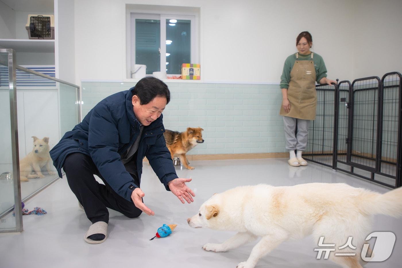 본문 이미지 - 주광덕 경기 남양주시장이 관내 동물보호센터를 방문해 현장을 둘러보는 모습. (사진=남양주시) ⓒ 뉴스1