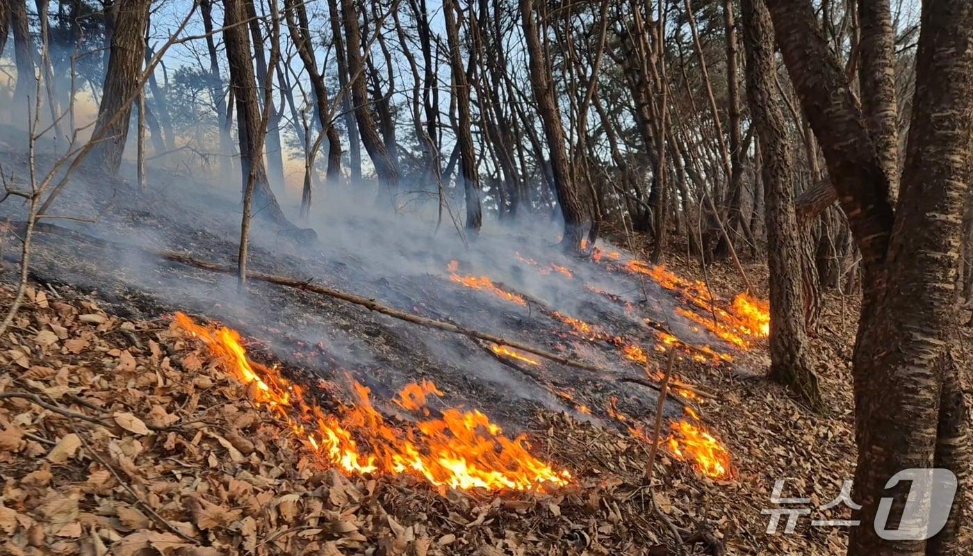 본문 이미지 - 금산군 진산면 산불 현장.  (금산소방서 제공, 재판매 및 DB금지) / 뉴스1