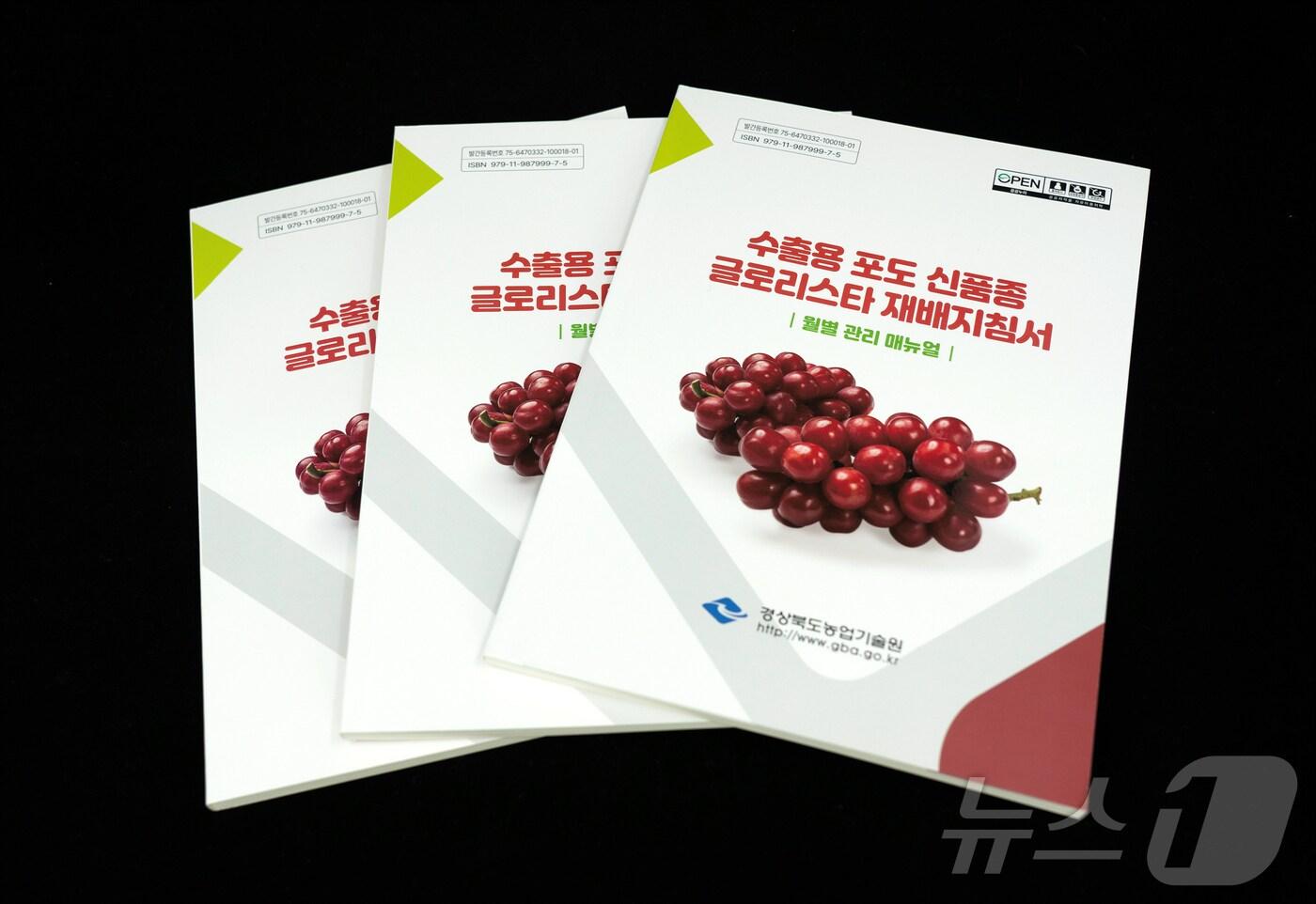 본문 이미지 - 경북농업기술원이 수출용 포도 신품종 ‘글로리스타’ 재배 지침서를 발간했다. /뉴스1