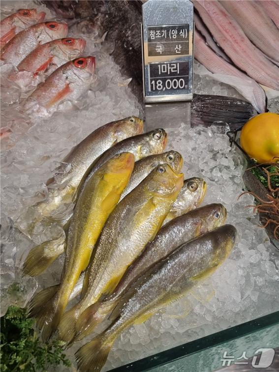 본문 이미지 - 현대백화점에 진열된 양식 참조기 모습 (수과원 제공. 재판매 및 DB금지)